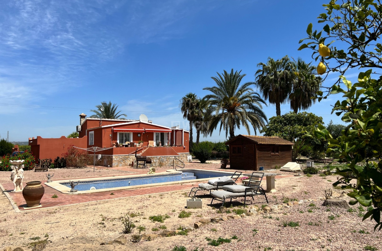 Reventa - Country House - San Miguel de Salinas - Inland