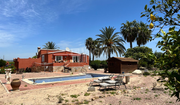 Resale - Country House - San Miguel de Salinas - Inland