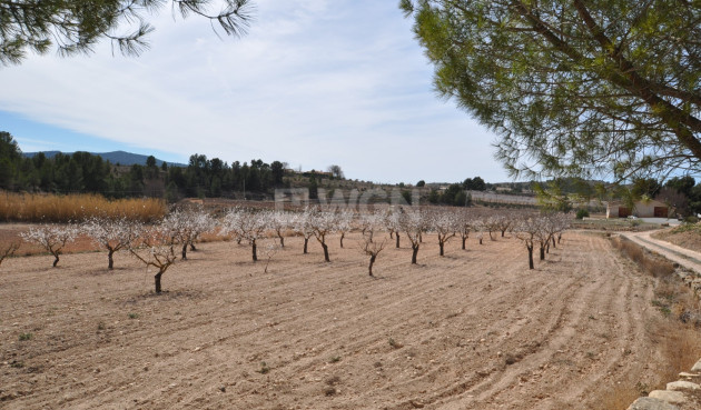 Reventa - Country House - Monóvar/Monóver - Inland