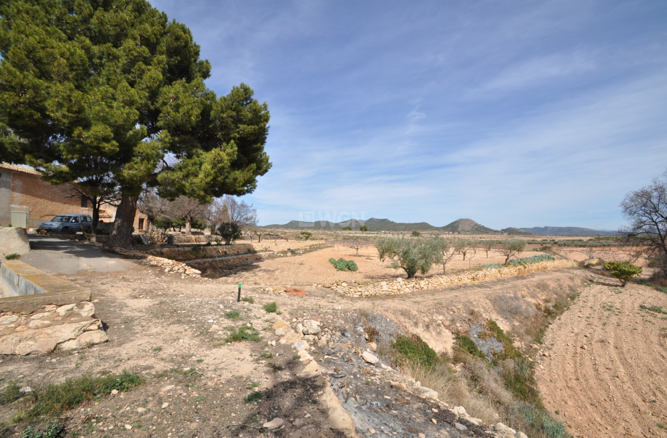 Reventa - Country House - Monóvar/Monóver - Inland