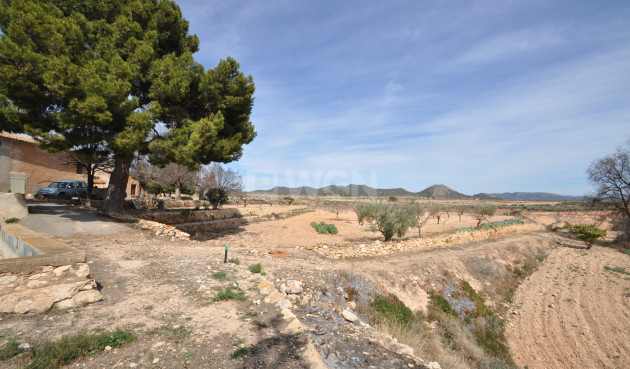 Reventa - Country House - Monóvar/Monóver - Inland