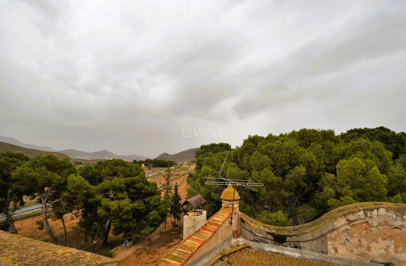 Reventa - Country House - Monóvar/Monóver - Inland