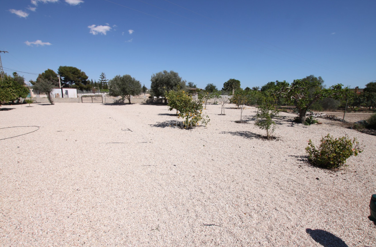 Reventa - Finca - Crevillent - Inland