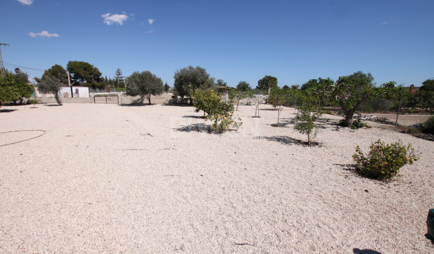 Reventa - Finca - Crevillent - Inland