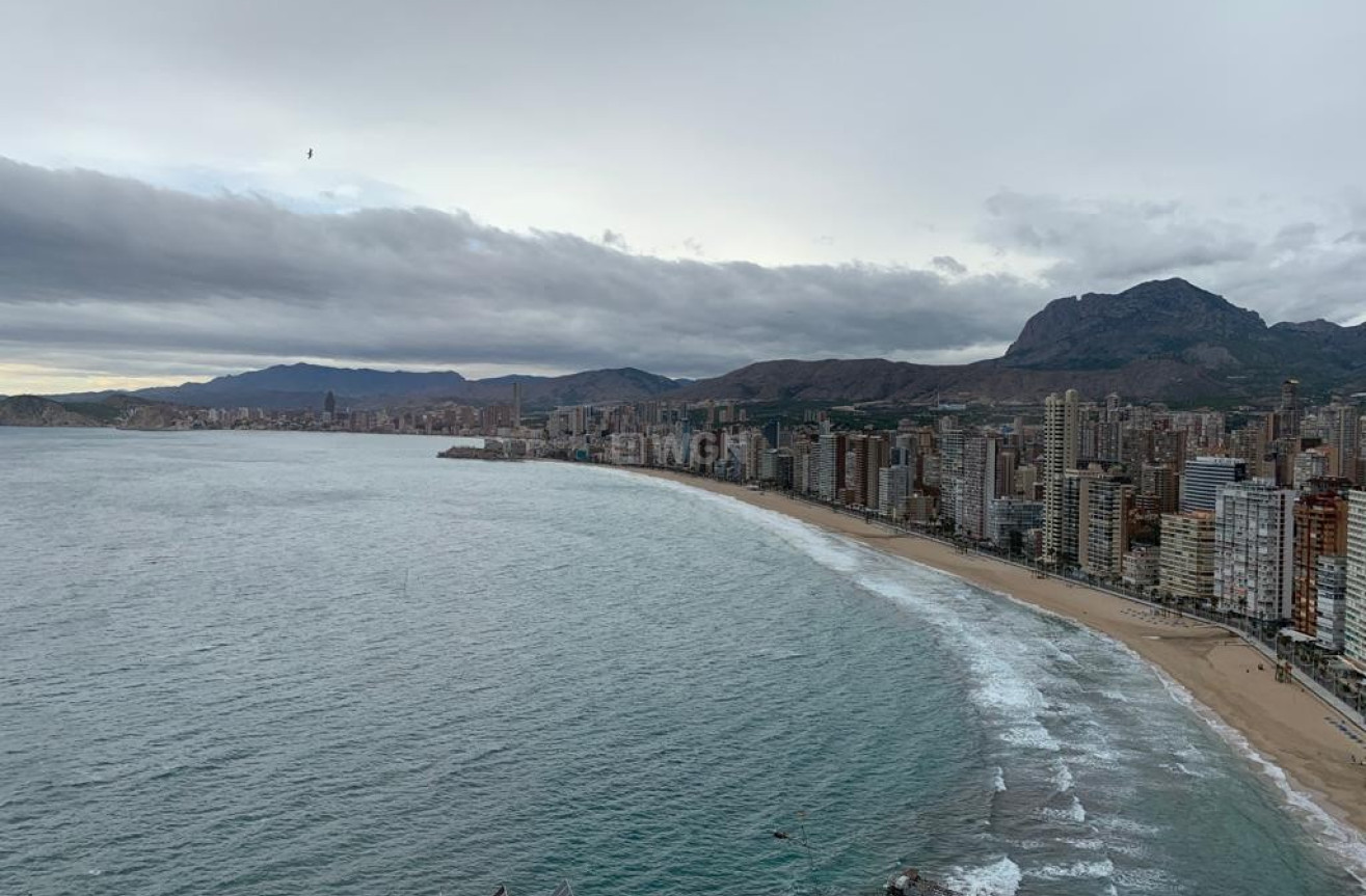 Odsprzedaż - Mieszkanie w bloku - Benidorm - Costa Blanca