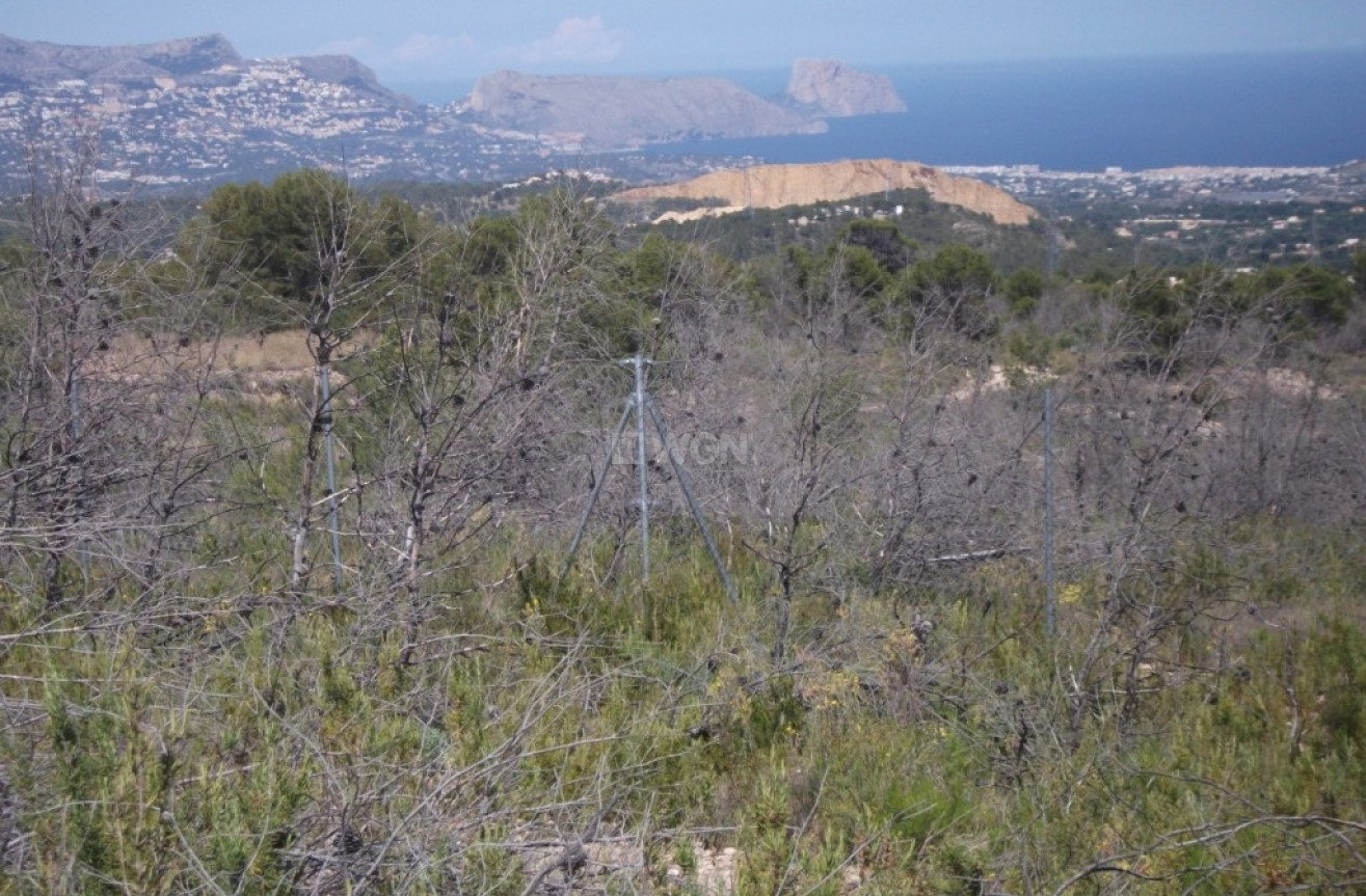 Odsprzedaż - Land - Polop - Costa Blanca