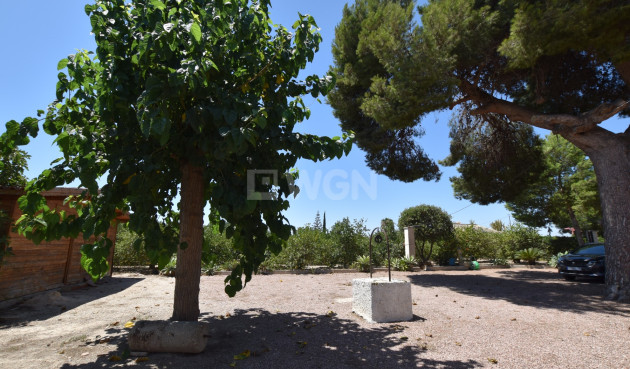 Resale - Finca - Daya Nueva - Costa Blanca