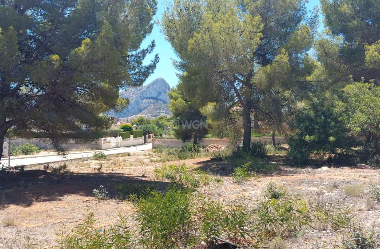 Resale - Land - Calpe - Costa Blanca