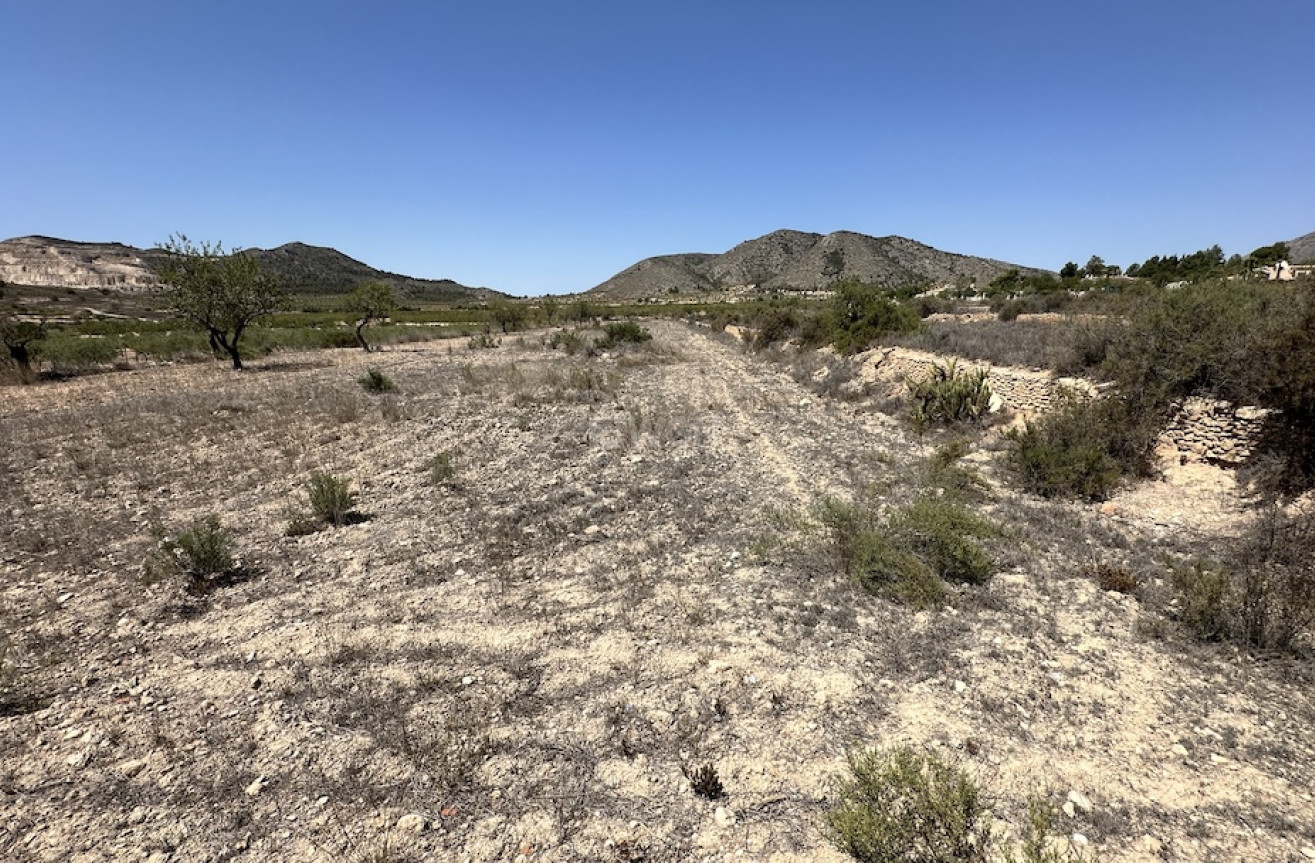 Reventa - Villa - Hondón de las Nieves - Inland