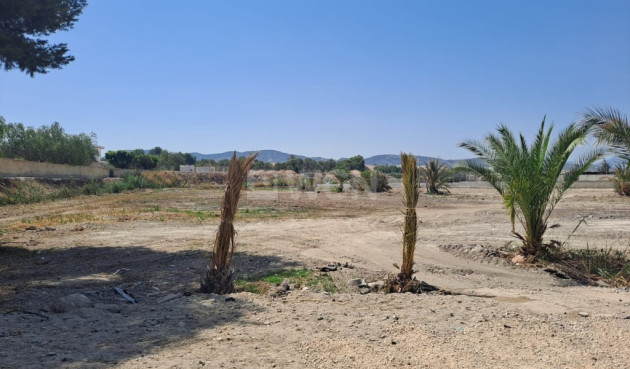 Reventa - Finca - Orihuela - Inland