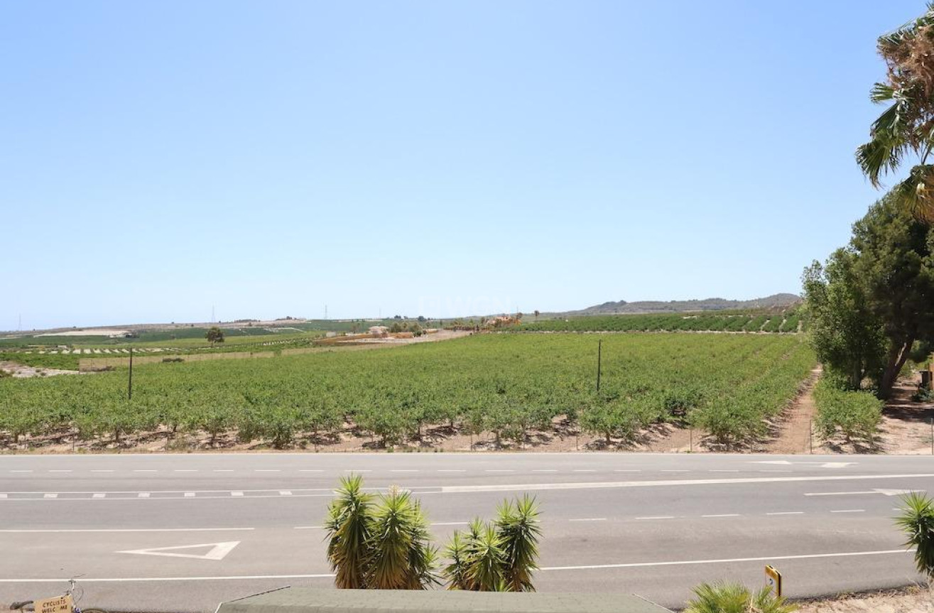 Reventa - Comercial - San Miguel de Salinas - Inland