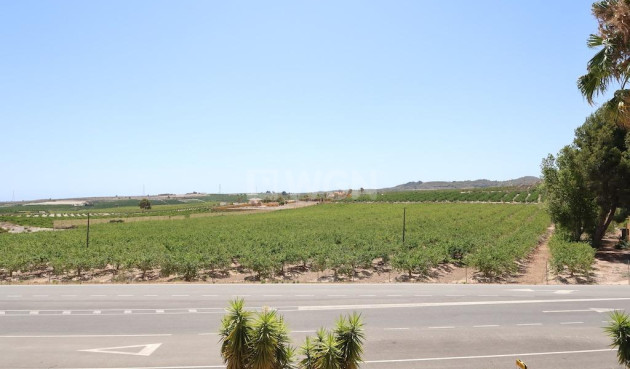 Reventa - Comercial - San Miguel de Salinas - Inland