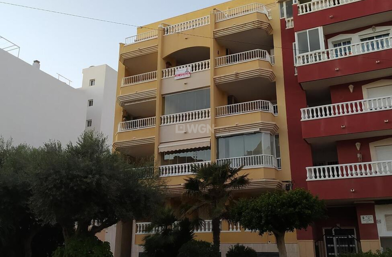 Resale - Penthouse Penthouse - Torrevieja - La Mata