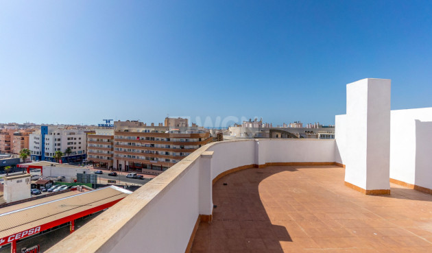 Odsprzedaż - Penthouse Penthouse - Torrevieja - Costa Blanca