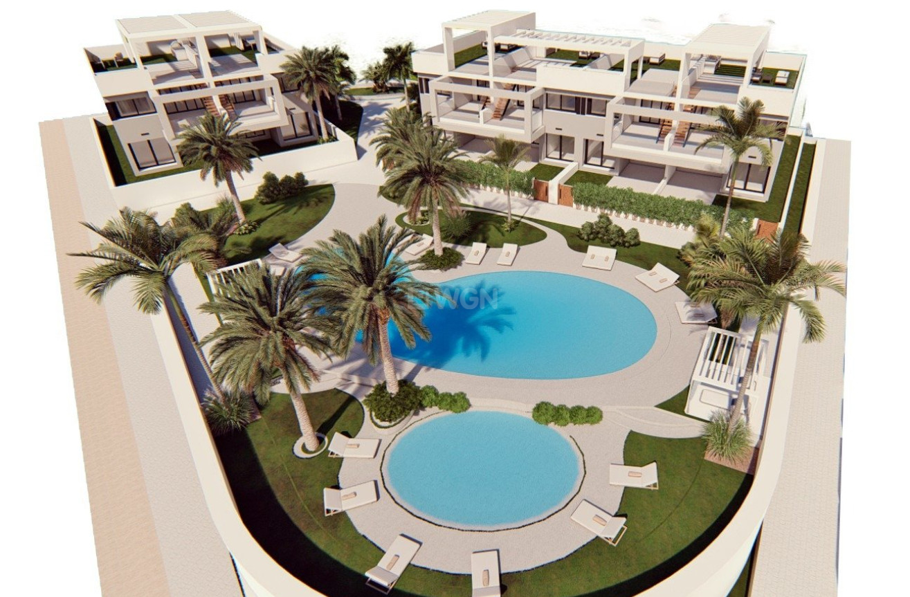 Nowy budynek - Bungalow - Torrevieja - Los Balcones