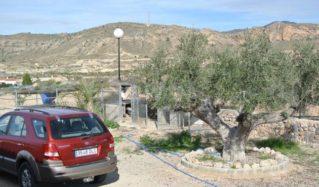 Resale - Villa - Abanilla - Inland