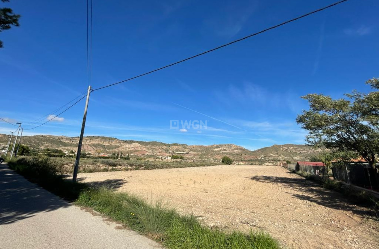 Resale - Land - Abanilla - Inland