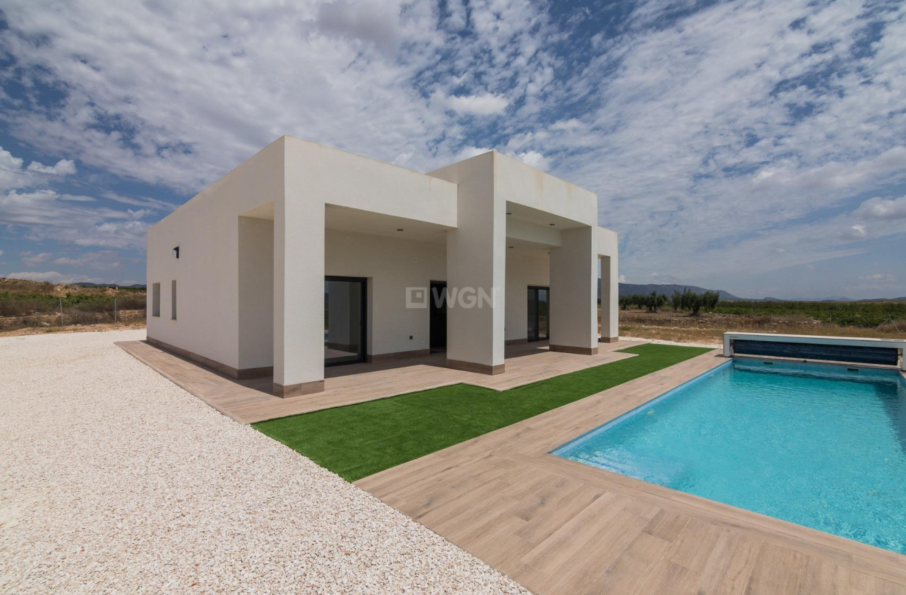 Obra nueva - Villa - Pinoso - Campo