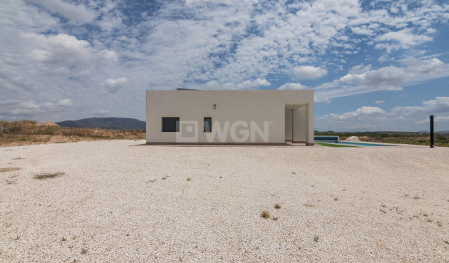 Obra nueva - Villa - Pinoso - Campo