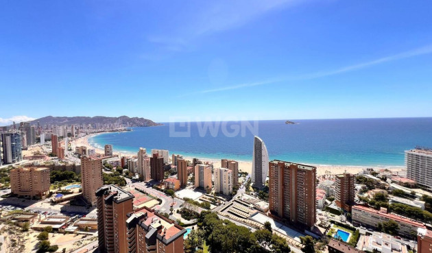 Reventa - Apartamento / piso - Benidorm - Playa de Poniente