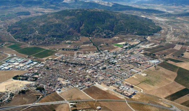 Obra nueva - Villa - Pinoso - Campo