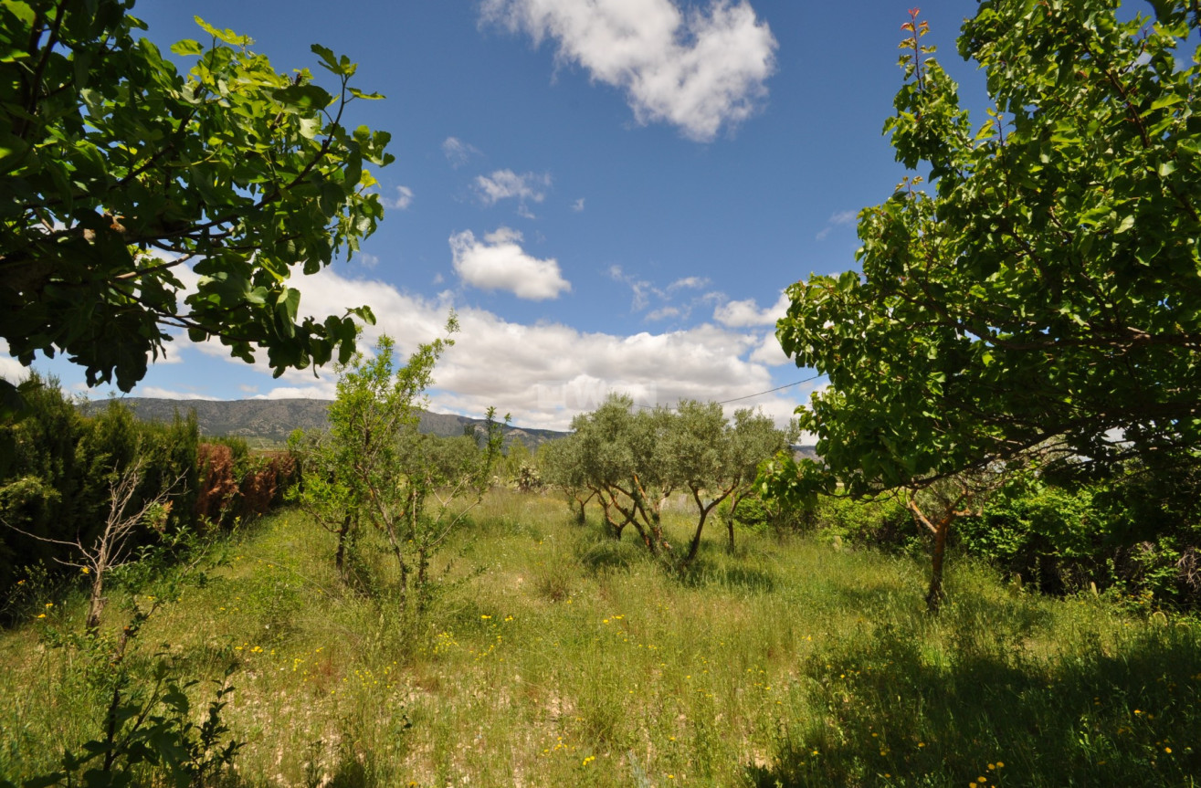 Odsprzedaż - Kamienica - Pinoso - Inland