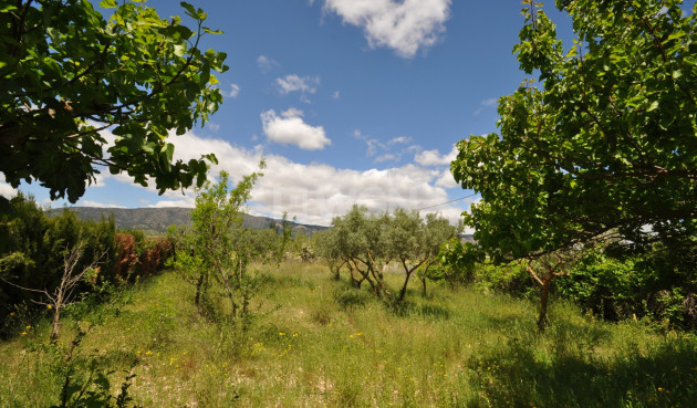 Odsprzedaż - Kamienica - Pinoso - Inland