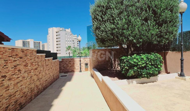 Resale - Apartment / flat - Guardamar del Segura - Puerto