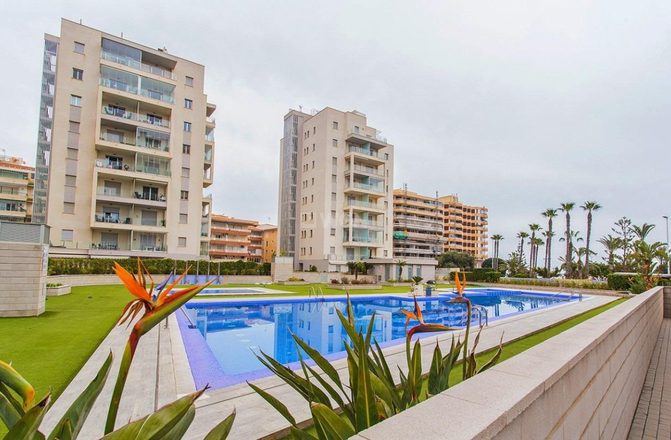 Resale - Apartment / flat - Torrevieja - La Mata