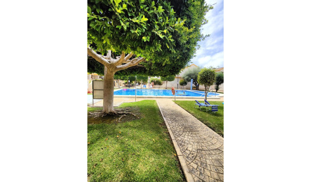 Reventa - Apartamento / piso - Orihuela Costa - Campoamor