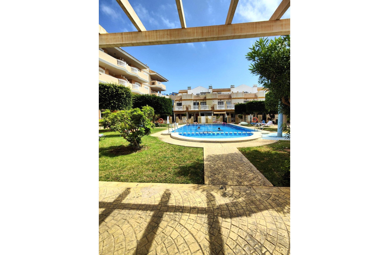 Reventa - Apartamento / piso - Orihuela Costa - Campoamor