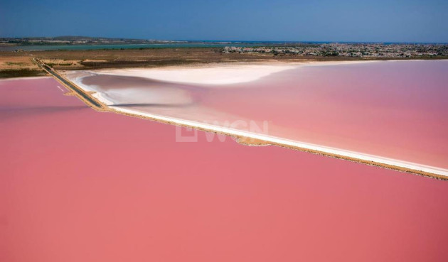 Odsprzedaż - Mieszkanie w bloku - Torrevieja - Costa Blanca