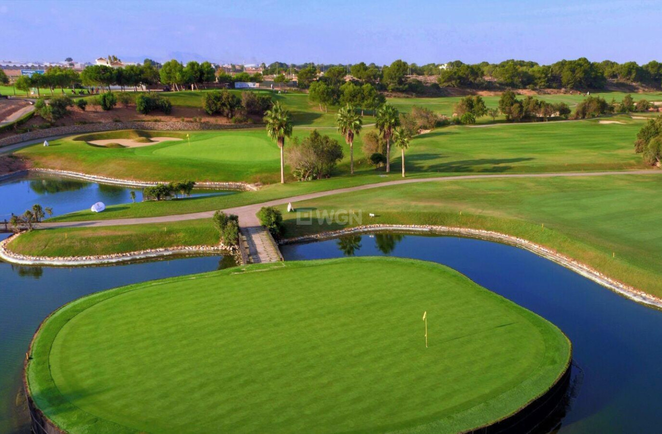 Obra nueva - Ático - Pilar de la Horadada - Lo Romero Golf