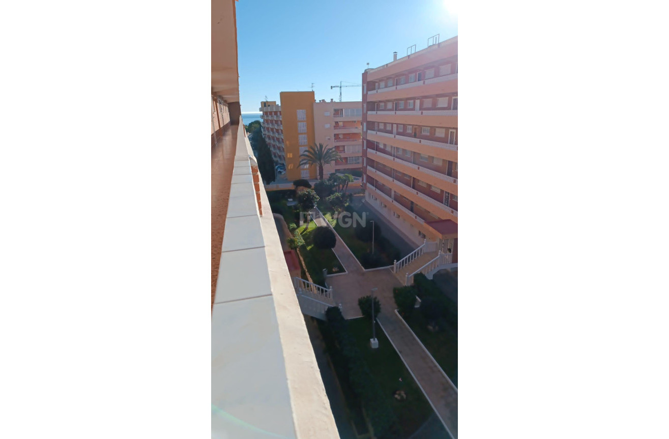 Resale - Apartment / flat - Torrevieja - Punta Prima