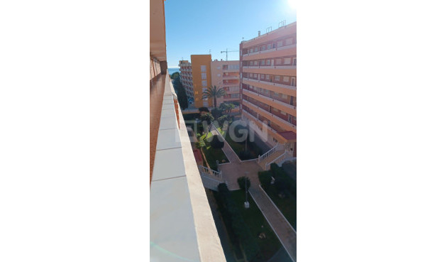 Resale - Apartment / flat - Torrevieja - Punta Prima