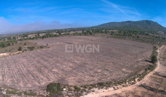 Reventa - Land - Yecla - Inland