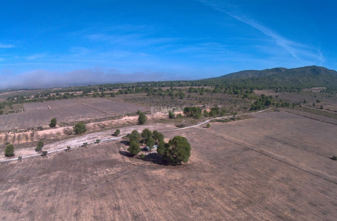 Reventa - Land - Yecla - Inland