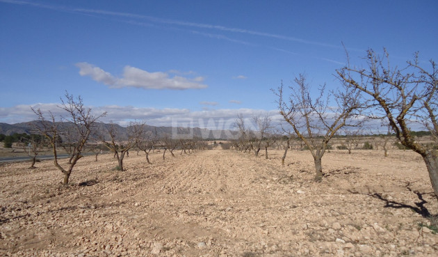 Reventa - Land - Yecla - Inland