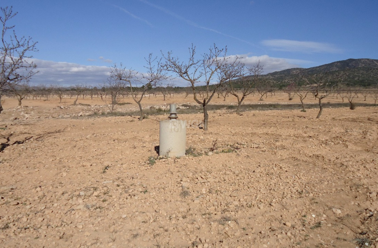 Reventa - Land - Yecla - Inland