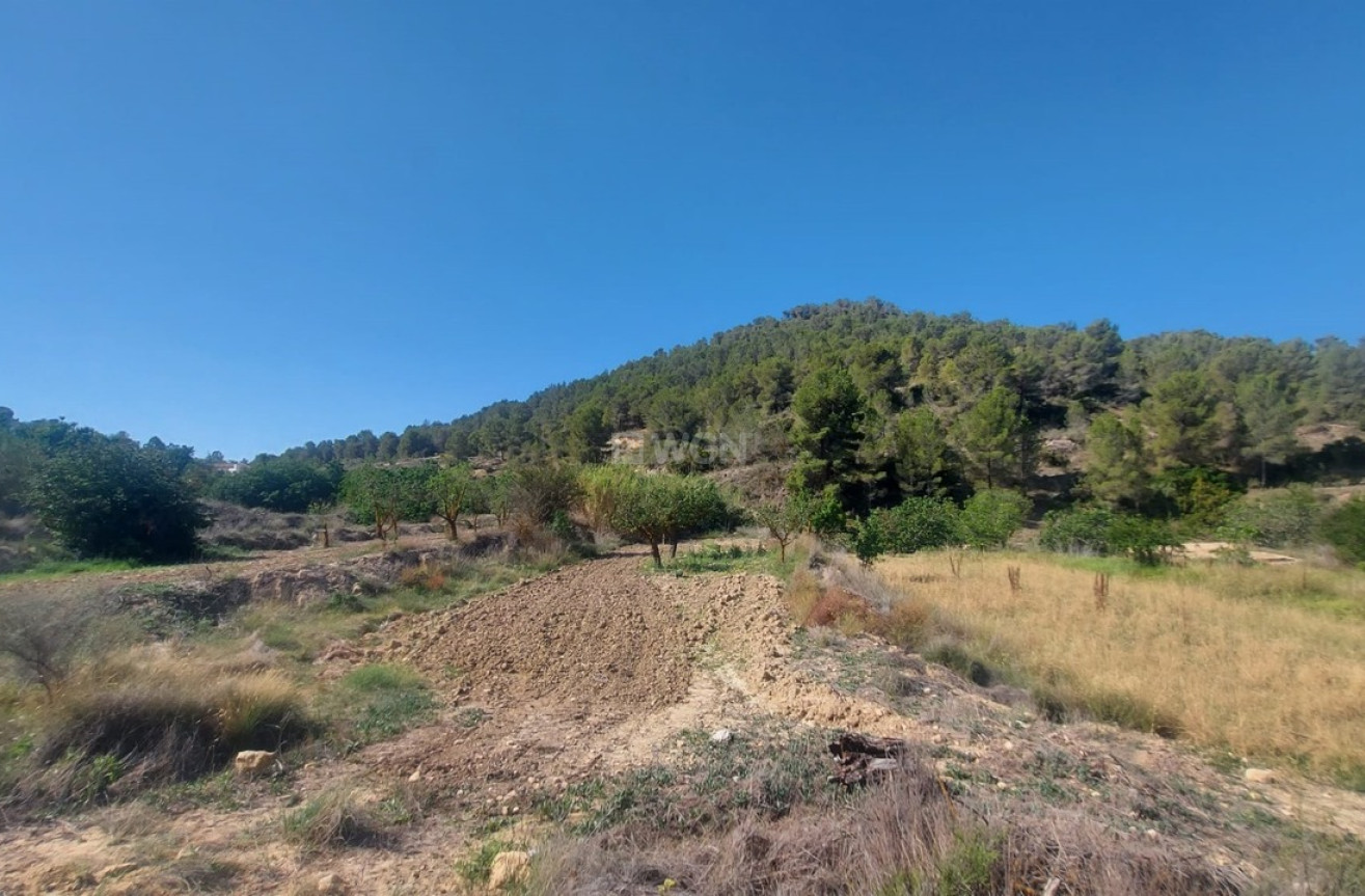 Reventa - Villa - Jumilla - Inland