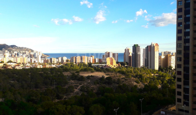 Resale - Apartment / flat - Benidorm - Costa Blanca