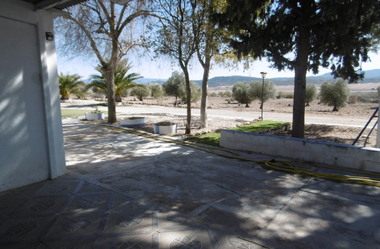 Reventa - Country House - Yecla - Inland