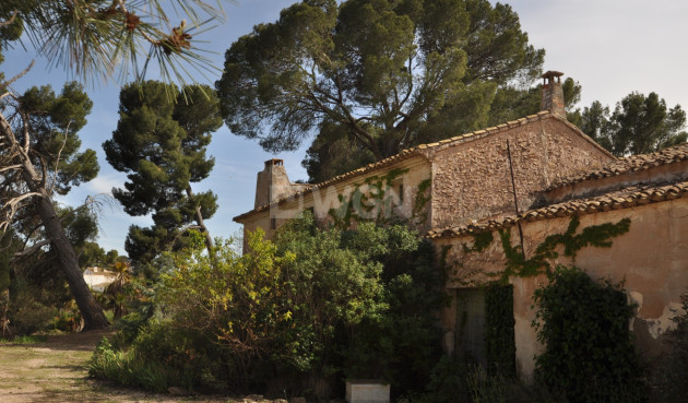 Resale - Country House - Yecla - Inland