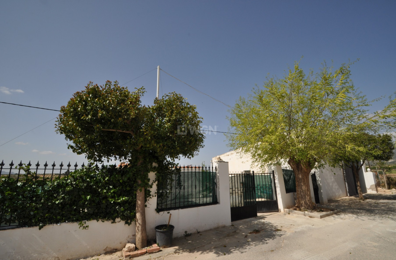 Resale - Villa - Pinoso - Inland