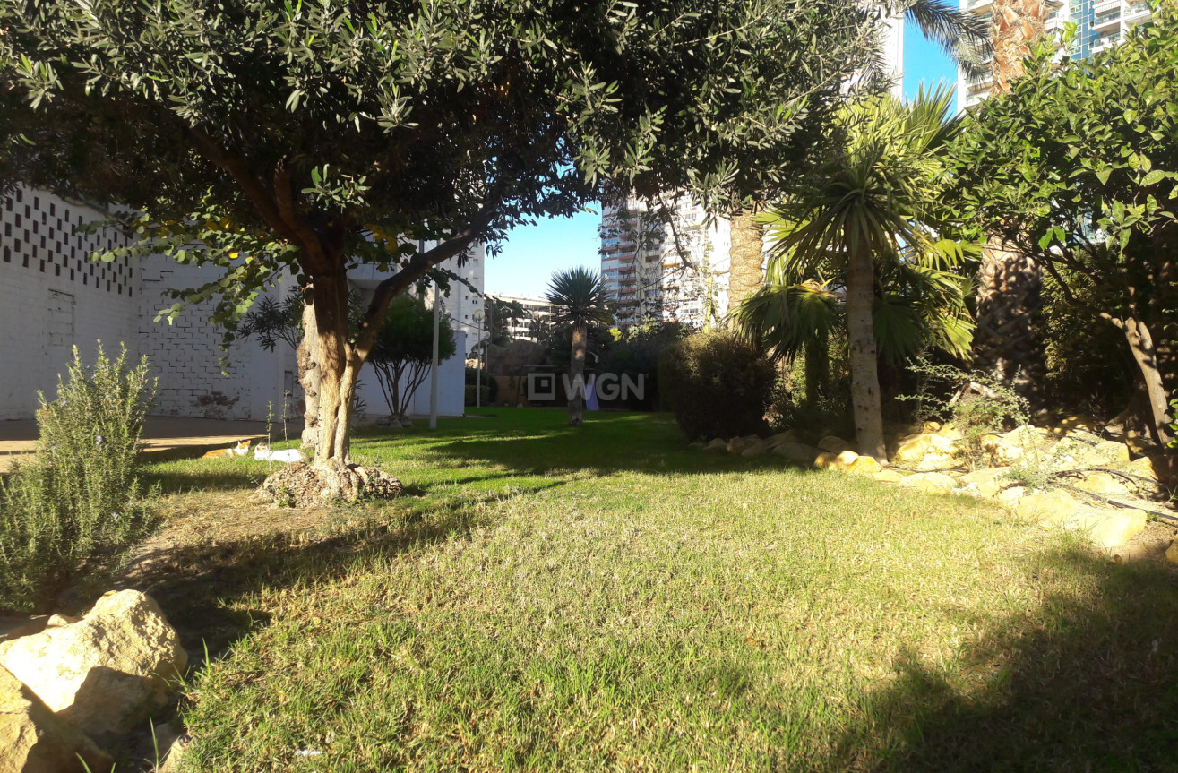 Resale - Apartment / flat - Benidorm - Costa Blanca