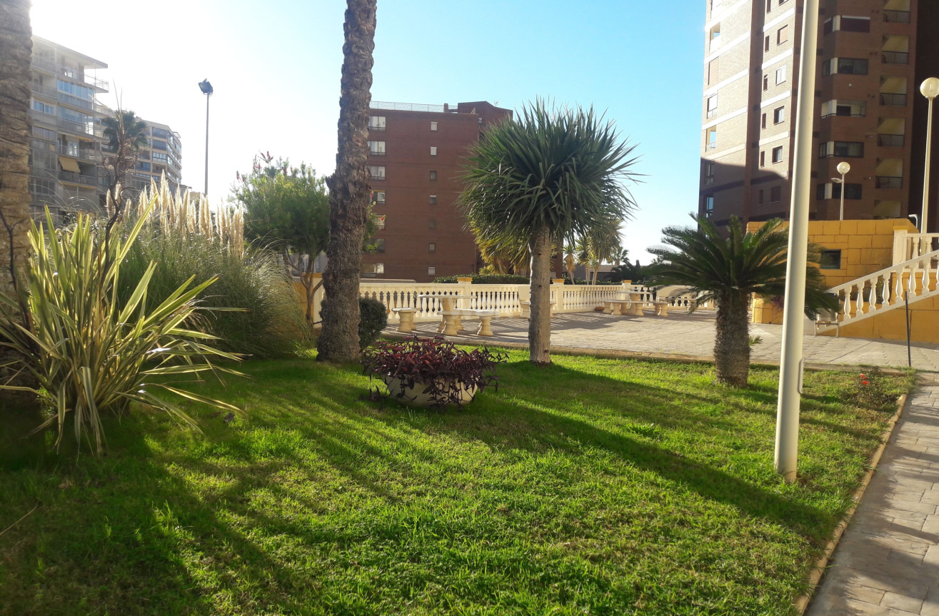 Reventa - Apartamento / piso - Benidorm - Costa Blanca