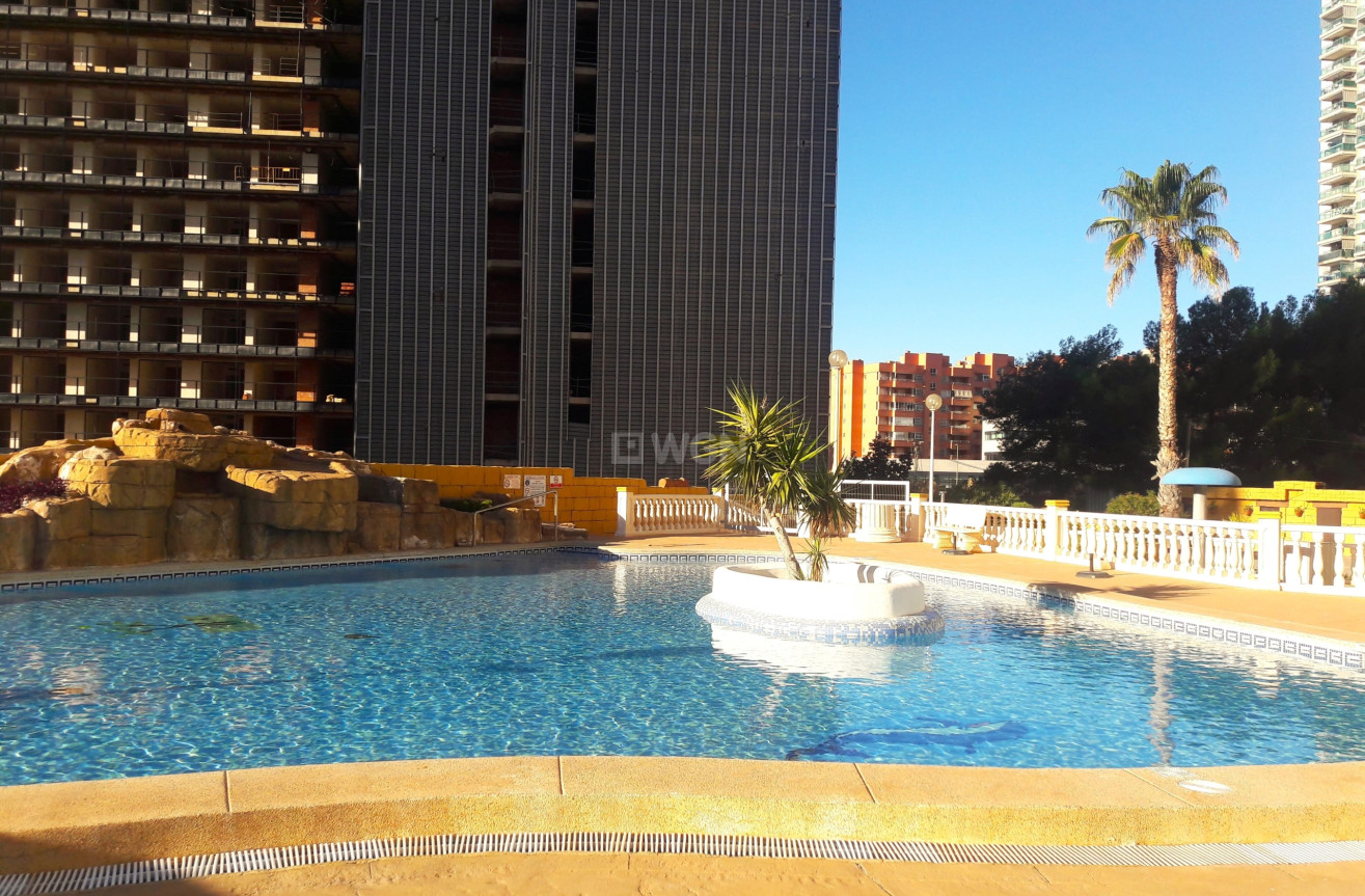 Reventa - Apartamento / piso - Benidorm - Costa Blanca