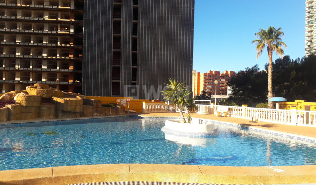 Resale - Apartment / flat - Benidorm - Costa Blanca