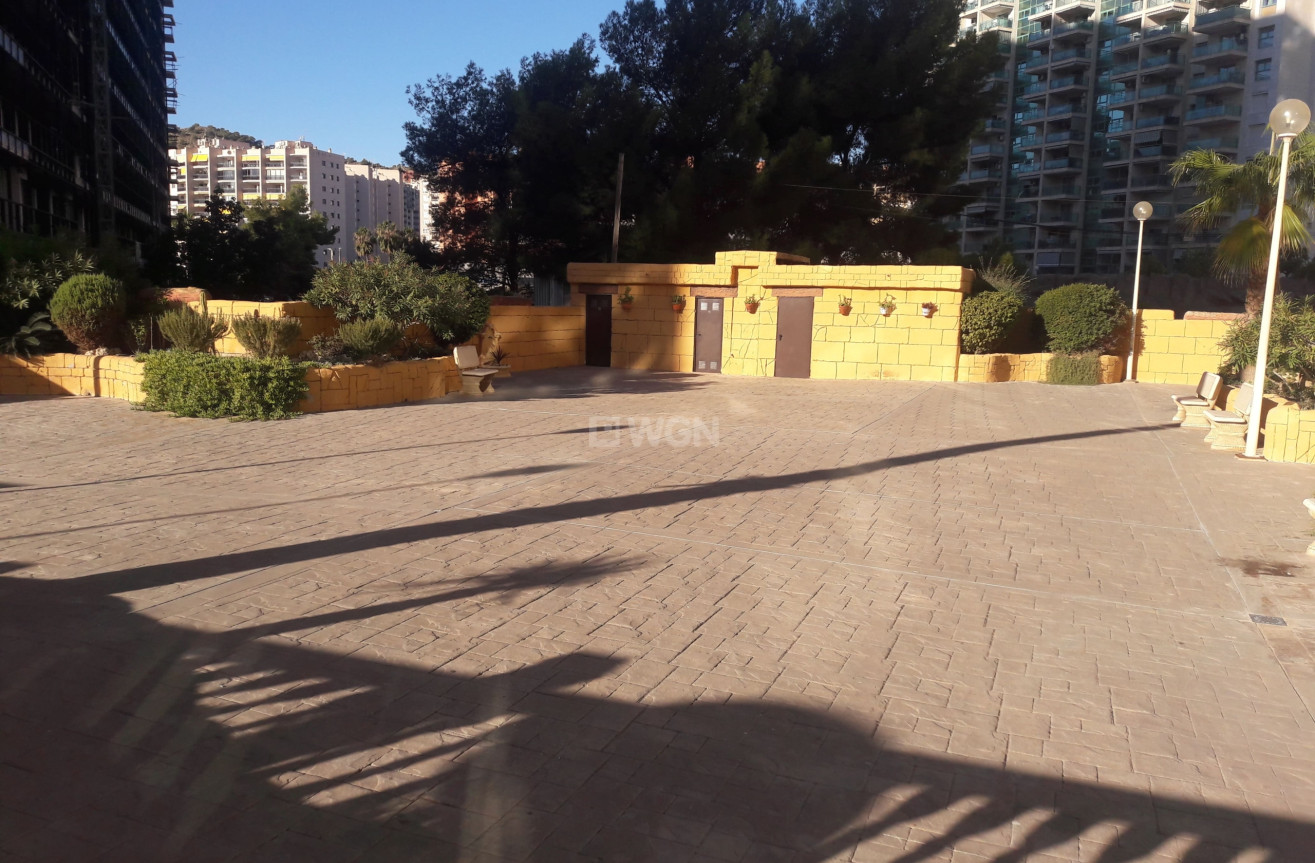 Reventa - Apartamento / piso - Benidorm - Costa Blanca