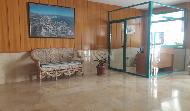 Reventa - Apartamento / piso - Benidorm - Costa Blanca